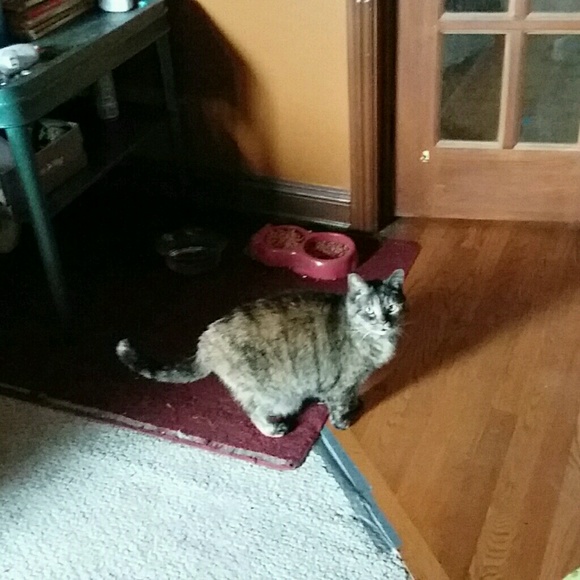 Meet your Posher, Patrick - Picture 1 of 1